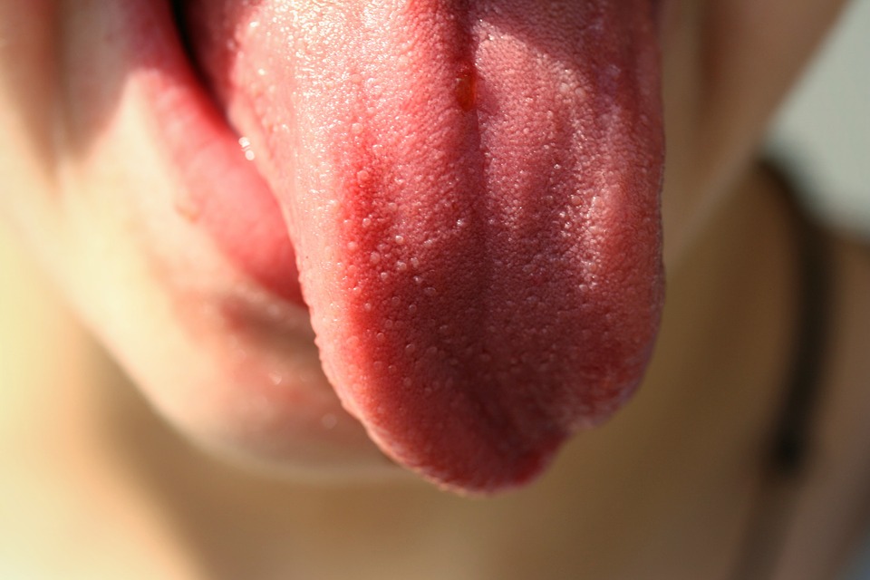 tongue-822441_960_720