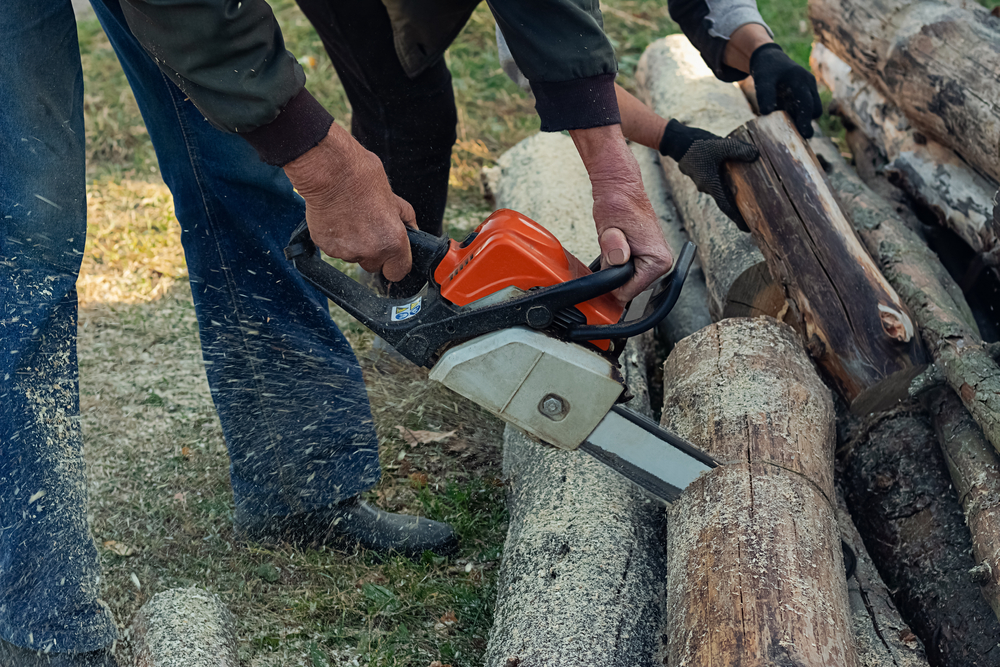 A,Chainsaw,Is,In,The,Hands,Of,An,Elderly,Man.